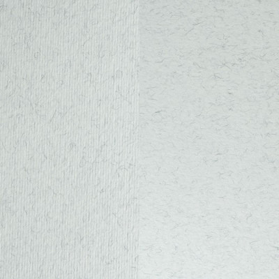 Папір для дизайну Elle Erre B1 (70*100см), №29 brina, 220 г/м2, білий, дві текстури, Fabriano