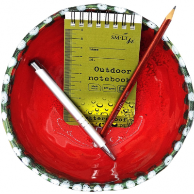 Тактический блокнот, водостойкий, 125х75 мм, 120 г/м2, 48 л., All weather notebook SMILTAINIS