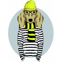 Набір-стандарт, картина за номерами, „Stylish Dog“, 35х45см, ROSA START