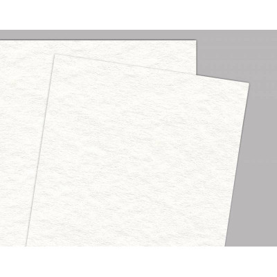 Папір акварельний Torchon B2 (50*70см), 270 г/м2, білий, крупне зерно,27005070 Fabriano