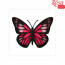 Набор картина 3D „Бабочка 4“, ДВП грунтованное, 4 слоя, 17х17 см, ROSA TALENT (N0003517)