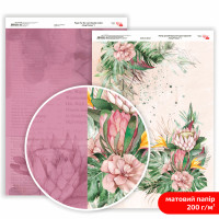 Бумага двусторонняя матовая, дизайнерская „King Protea“ 1, 21х29,7 см, 200 г/м2, ROSA TALENT (5311176)
