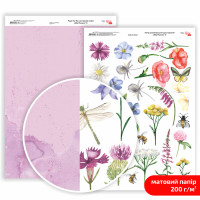 Папір двосторонній дизайнерський матовий „Wild Flowers“ 8, 21х29,7 см, 200 г/м2, ROSA TALENT (5311175)