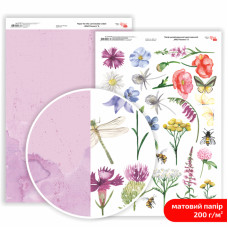 Бумага двусторонняя матовая, дизайнерская „Wild Flowers“ 8, 21х29,7 см, 200 г/м2, ROSA TALENT (5311175)