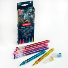 Набір кольорових ручок PAINT PEN PALETTE №3, 5шт, Derwent
