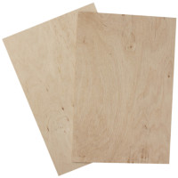 Заготовка для випалювання, 20x30 см, фанера, 2 шт. (3852030)