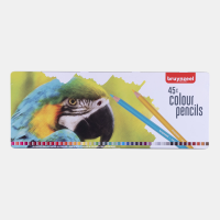 Набір кольорових олівців PARROT, 45шт., мет.коробка, Bruynzeel
