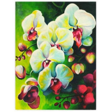 Полотно на картоні з контуром, Натюрморт №18, 30*40, бавовна, акрил, ROSA START