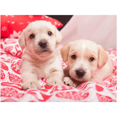 Полотно на картоні з контуром, „Милі цуценята“, 30х40, бавовна, акрил, ROSA START