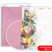Бумага двусторонняя матовая, дизайнерская „King Protea“ 4, 21х29,7 см, 200 г/м2, ROSA TALENT (5311179)