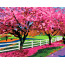 Картина по номерам акрил набор стандарт Весенний день, ROSA START