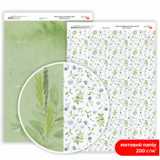 Бумага двусторонняя матовая, дизайнерская „Wild Flowers“ 2, 21х29,7 см, 200 г/м2, ROSA TALENT (5311169)