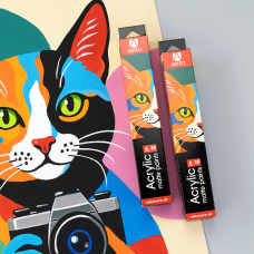 Набор акриловых красок ColorCat матовый 6x10мл Arteo