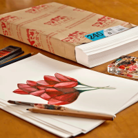 Бумага для рисунка ST'ART Drawing Paper 50х65см 240г/м2 Fabriano