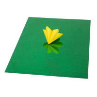 Картон для дизайну Дзеркальний, Зелений/білий, 25х35 см, 280г/м2, NPA (NPA142054)