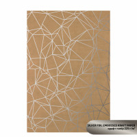 Крафт бумага с тиснением „Silver PolygonЌ“, 21х29,7см, 225 г/м2, ROSA TALENT (5321004)