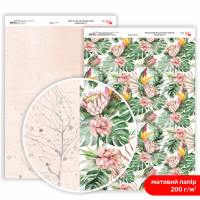 Бумага двусторонняя матовая, дизайнерская „King Protea“ 3, 21х29,7 см, 200 г/м2, ROSA TALENT (5311178)
