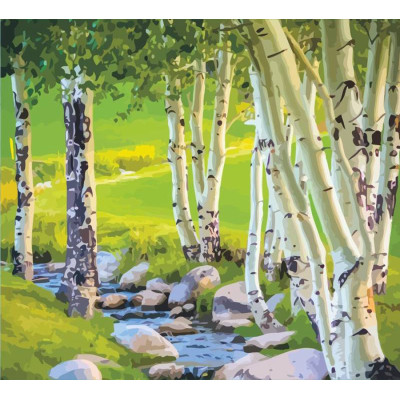 Картина по номерам, набор стандарт Березы, 35х45 см, ROSA START