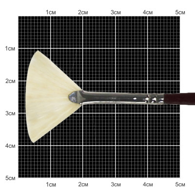 Пензель Щетина віяла, 6007, № 0, довга ручка KOLOS
