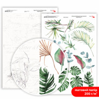 Бумага двусторонняя матовая, дизайнерская „King Protea“ 7, 21х29,7 см, 200 г/м2, ROSA TALENT (5311182)