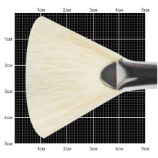 Кисть Щетина веерная, 6007, №10, длинная ручка KOLOS