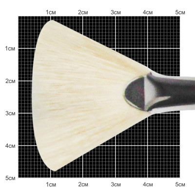 Кисть Щетина віяла, 6007 №10, довга ручка KOLOS