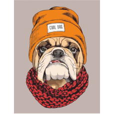 Полотно на картоні з контуром, „Pop Art Cool Dog“, 30х40, бавовна, акрил, ROSA START