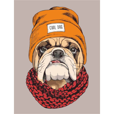 Полотно на картоні з контуром, „Pop Art Cool Dog“, 30х40, бавовна, акрил, ROSA START