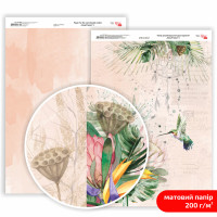 Папір двосторонній дизайнерський матовий „King Protea“ 5, 21х29,7 см, 200 г/м2, ROSA TALENT (5311180)