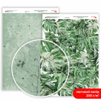 Папір двосторонній дизайнерський матовий „King Protea“ 2, 21х29,7 см, 200 г/м2, ROSA TALENT (5311177)