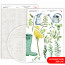 Бумага двусторонняя матовая, дизайнерская „Wild Flowers“ 7, 21х29,7 см, 200 г/м2, ROSA TALENT (5311174)