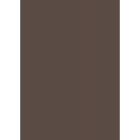 Папір для дизайну Tintedpaper В2 (50*70см), №70 темно-коричневий, 130г/м, без текстури, Folia
