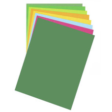 Бумага для дизайна Fotokarton B2 (50х70см) №53 Зеленый мох, 300 г м2, Folia