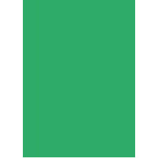 Бумага для дизайна Tintedpaper А4 (21х29,7см), №54 изумрудно-зеленая, 130 г м , без текстуры, Folia