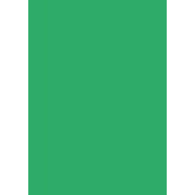 Бумага для дизайна Tintedpaper А4 (21х29,7см), №54 изумрудно-зеленая, 130 г м , без текстуры, Folia