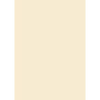 Папір для дизайну Tintedpaper В2 (50*70см), №08 бежевий, 130г/м, без текстури, Folia