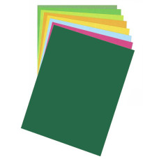 Бумага для дизайна Fotokarton B2 (50х70см) №58 Хвойно-зеленая, 300 г м2, Folia
