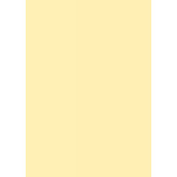 Бумага для дизайна Tintedpaper В2 (50х70см), №11бледно-желтая, 130 г м , без текстуры, Folia