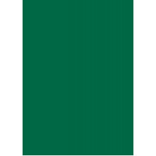 Бумага для дизайна Tintedpaper В2 (50х70см), №58 хвойно-зеленая 130 г м , без текстуры, Folia
