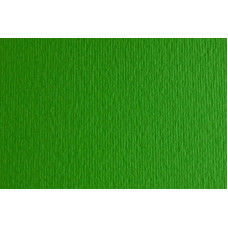 Папір для дизайну Elle Erre А3 (29,7*42см), №11 verde, 220 г/м2, зелений, дві текстури, Fabriano