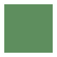 Папір для дизайну, Fotokarton A4 (21*29.7см), №53 Зелений мох, 300 г/м2, Folia