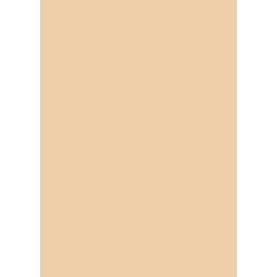 Бумага для дизайна Tintedpaper А4 (21х29,7см), №10 коричнево-желтая, 130 г м , без текстуры, Folia