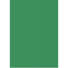 Бумага для дизайна Tintedpaper В2 (50х70см), №53 зеленый мох, 130 г м , без текстуры, Folia