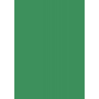 Бумага для дизайна Tintedpaper В2 (50х70см), №53 зеленый мох, 130 г м , без текстуры, Folia