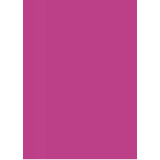 Бумага для дизайна Tintedpaper А4 (21х29,7см), №21 темно-розовая, 130 г м , без текстуры, Folia