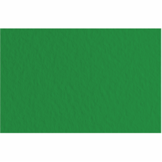 Бумага для пастели Tiziano B2 (50х70см), №37 biliardo, 160 г м2, зелёная, среднее зерно, Fabriano