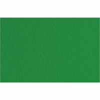 Бумага для пастели Tiziano A3 (29,7х42см), №37 biliardo, 160 г м2, зелёная, среднее зерно, Fabriano