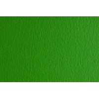 Папір для дизайну Elle Erre B1 (70*100см), №11 verde, 220 г/м2, зелений, дві текстури, Fabriano