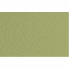 Бумага для пастели Tiziano B2 (50х70см), №14 muschio, 160 г м2, оливковая, среднее зерно, Fabriano