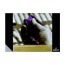 Склейка для пастелі REMBRANDT 160гр/м.кв 29х42см темні відтінки, 30л., Royal Talens